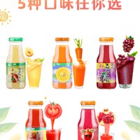 神内果汁  食饮品果蔬汁238ml